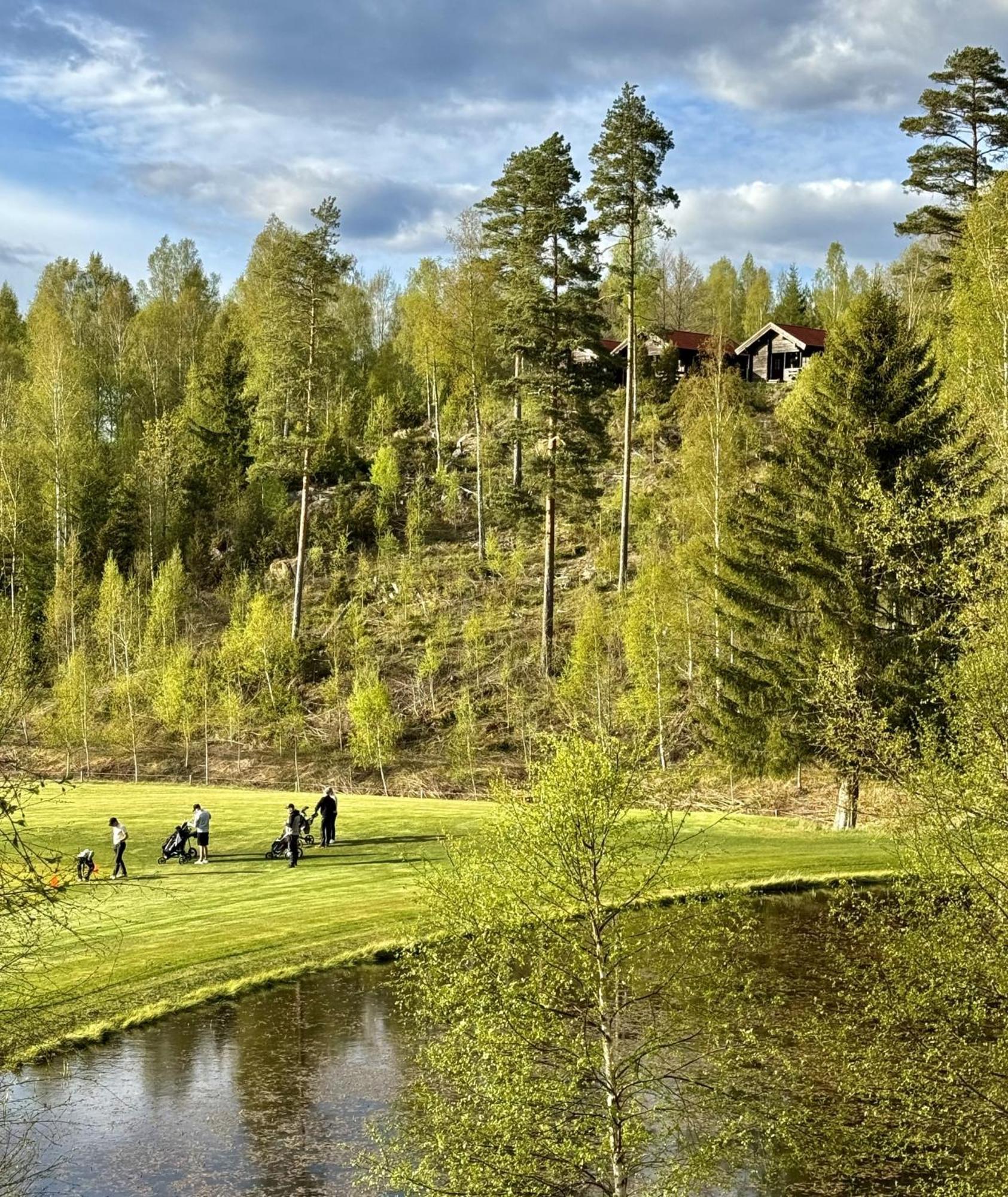 Noretjaerns Stugby Arjang Bagian luar foto